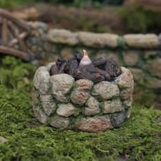 a small candle that is sitting on some moss