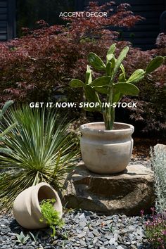 a potted plant sitting on top of a stone slab next to a rock garden