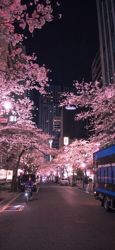 cherry blossom trees line the street in front of tall buildings at night with lights on