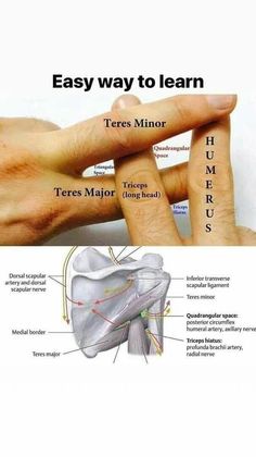 the diagram shows how to use different types of hands