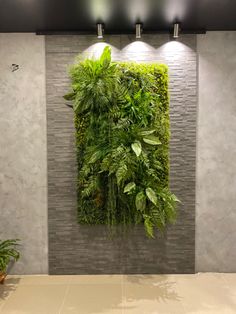 an indoor living wall with plants on it