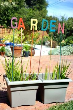 two potted plants sitting on top of a red brick walkway next to a garden