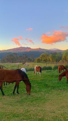 several horses grazing in a field with mountains in the backgrounnd and clouds in the sky