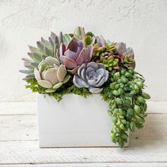 an arrangement of succulents in a white square vase