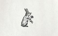 a black and white drawing of a rabbit holding a flower