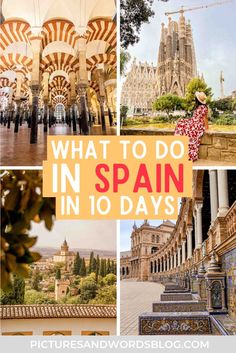 Here's an epic 10 day Spain itinerary that covers some of the top Spain destinations - Barcelona, Seville, Cordoba, and Granada. This Spain travel guide includes everything you need to know to plan an amazing trip! From the best things to do in Spain, the best Spain food, where to stay, how to get around, and more. Read to plan the perfect Spain vacation! Things To Do In Spain, Spain Destinations, Backpacking Spain, Spain Itinerary, Spain Culture, Spain Travel Guide, Spain Vacation, Spain Holidays, Backpacking Europe