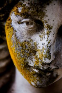 the face of a statue covered in moss