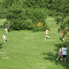 several people are playing frisbee in the grass near some trees and shrubbery