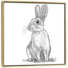 a black and white drawing of a rabbit sitting in the grass with its eyes wide open