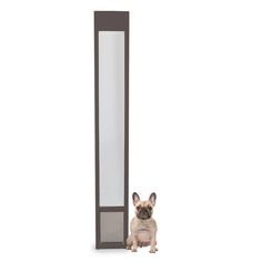 a small dog sitting next to a tall mirror