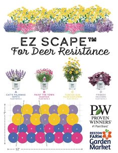 a poster with different flowers and plants in pots on the side of a building, which reads ez scare for deer resistance