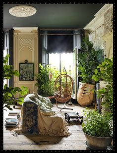 a living room filled with lots of plants and furniture