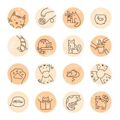 nine hand drawn cats and kittens icons in circles on an orange background with white lettering