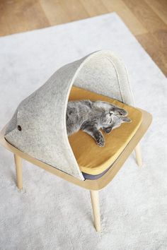 a cat laying on top of a bed in the middle of a living room area