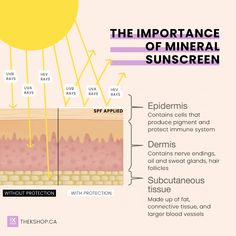 Skin Physiology, Room Esthetics, Skincare Education, Spf Skincare, Creative Post, Mary Kay Skin Care, Subcutaneous Tissue