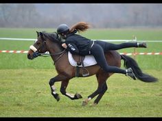 a woman riding on the back of a brown horse across a lush green grass covered field