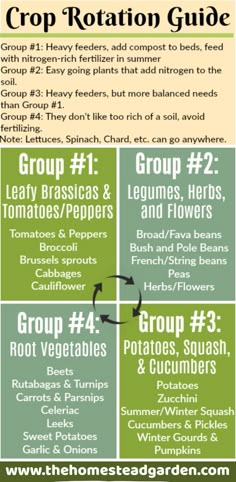 the ultimate guide to growing your own garden info sheet with text overlaying it