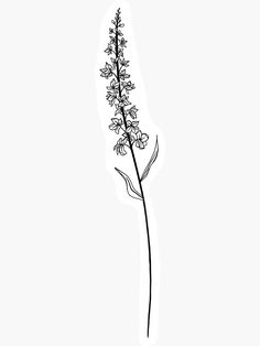 Flower For July Birth, Larkspur Drawing July Birth Flowers, Larkspur Flower Tattoo Spine, Larkspur Black And White Tattoo, Waterlilly Tattoo Drawing, Larkspur Finger Tattoo, July Month Flower Tattoo, July Birth Flower Drawing, Birth Flower Tattoo July