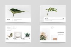 four square brochures with different plants on the front and back covers, all in white