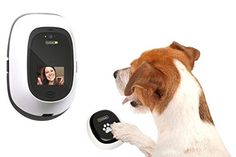 a dog has its paw on an interactive pet camera and is looking at the screen