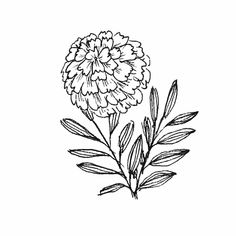 a black and white drawing of a flower