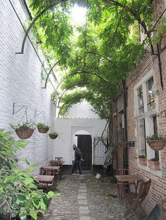 an alleyway with potted plants and tables on either side, surrounded by brick buildings