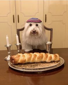 a small white dog sitting at a table with bread and candles in front of it