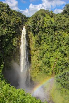 a waterfall with a rainbow in the middle surrounded by lush green trees and foliage on a sunny day