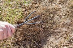 a person holding a garden shear in their hand and digging into the ground with it