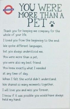 a sign that says you were more than a pet