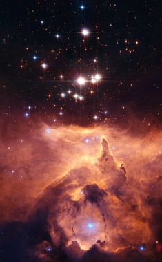 Hubble at 25: the best images from the space telescope - in pictures | Science | The Guardian Orion Nebula, Star Cluster