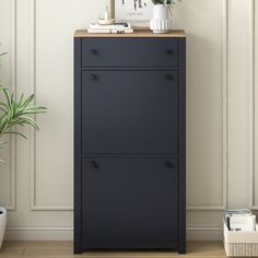 a tall black cabinet with two drawers next to a potted plant