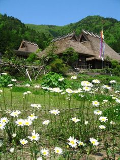 daisies are growing in the foreground with thatched roof houses in the background