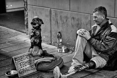 a man sitting on the sidewalk with his dog