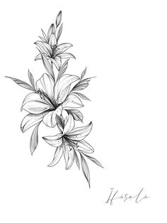 black and white drawing of flowers on a white background