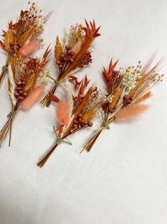 four dried flowers are arranged on a white surface