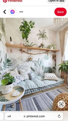 a living room filled with lots of plants