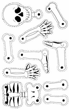 a cut out of paper with different types of bones and bones on the bottom half