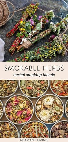 The creation of Herbal Cigarettes involves a blend of science and art. Delve into the complexities of smokable herbs and plants with our guide that illuminates the processes, potential benefits, and variety of Herbal Smoking Blends. Enhance your knowledge about this fascinating aspect of herbal apothecary. Medicinal Herbs Recipes, Smokeable Herbs, Smokable Herbs, Apothecary Herbs, Medicine Garden, Herbal Medicine Recipes, Herbs And Plants, Herbal Remedies Recipes, Medical Herbs