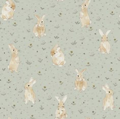 an image of rabbits in the grass on a blue background with flowers and butterflies around them