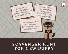 scavenger hunt for new puppy