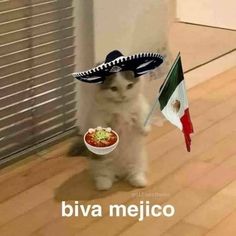 a cat wearing a sombrero and holding a bowl of food in it's paws