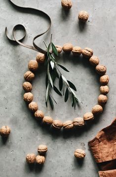 nuts and leaves are arranged on a table