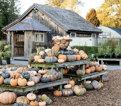 a pile of pumpkins sitting in front of a wooden building with a basket on top