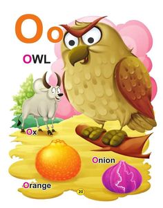 an owl is standing on the ground next to other animals and letters that spell out o