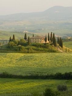 the rolling hills and fields are dotted with trees, grass, and an old farmhouse