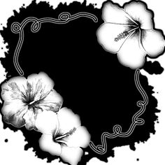 black and white flowers with swirls in the middle