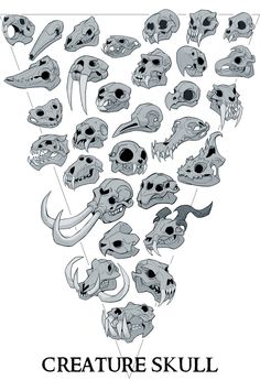 a poster with skulls on it and the words creature skull written in black ink above them