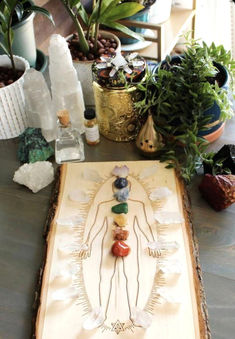 a wooden table topped with lots of plants and vases next to a drawing on wood