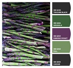 purple and green asparagus are displayed in the color palettes for this photo